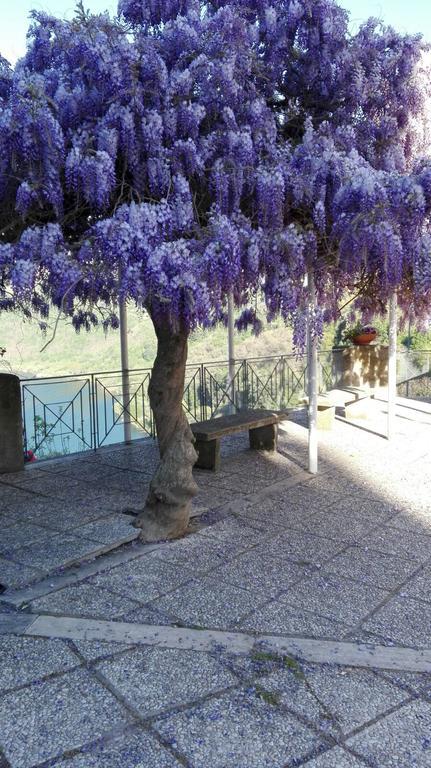 La Casa Di Milady Bed & Breakfast Genzano di Roma Dış mekan fotoğraf
